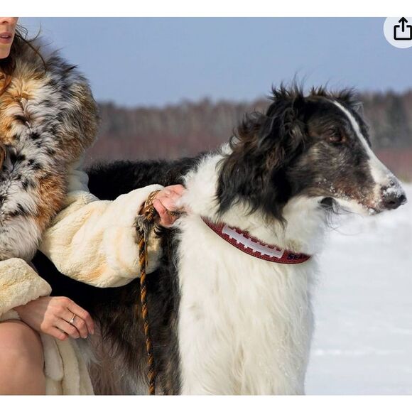 NWT NFL Seattle Seahawks Leather Dog Collar Large unused - Picture 2 of 8